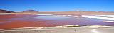 BOLIVIA 2 - Laguna Colorada - 12